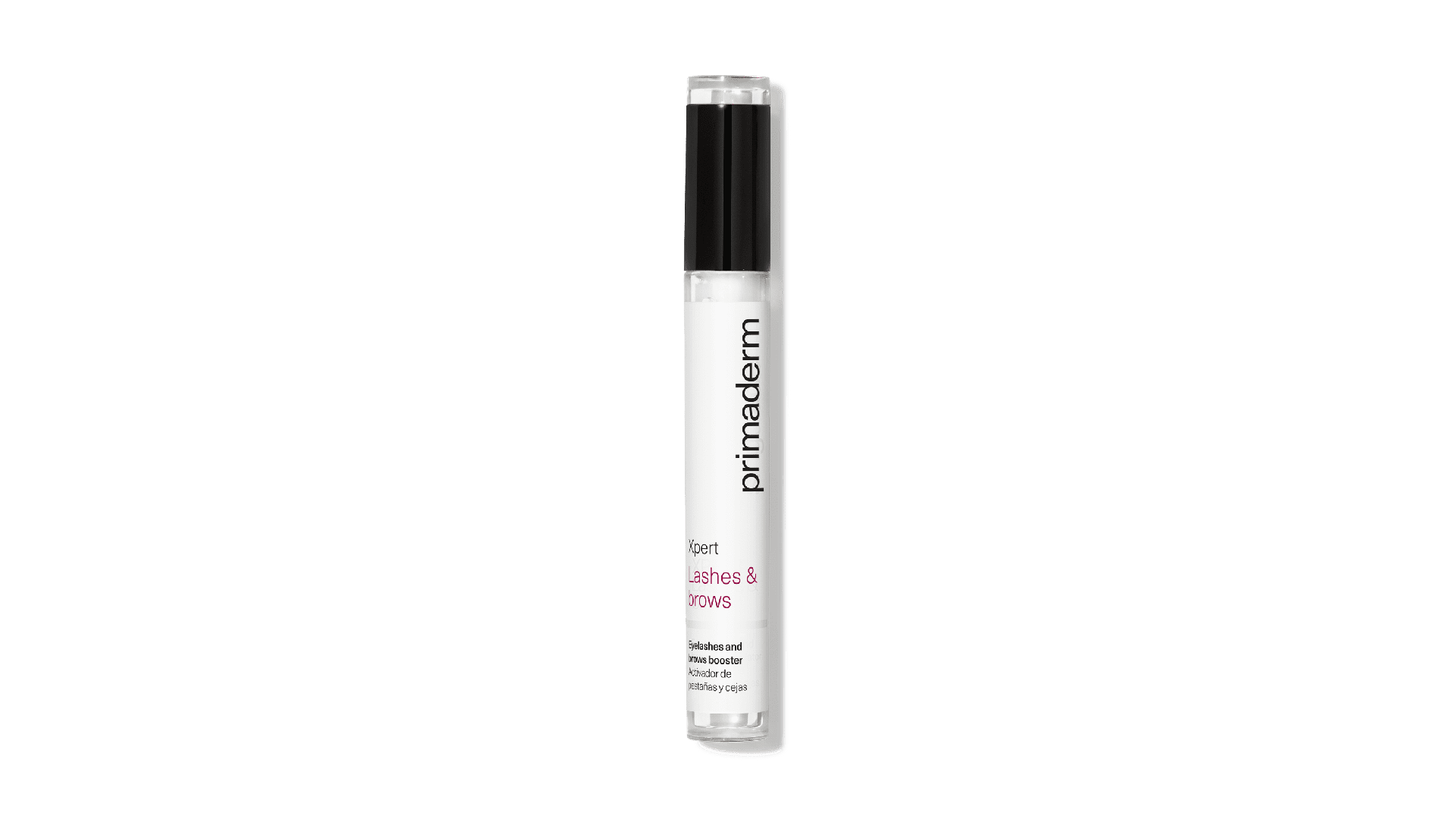 Bodegón XPERT Lashes & Brows